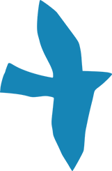 https://arumpukal.com/wp-content/uploads/2022/01/floating_image_03_home_02.png